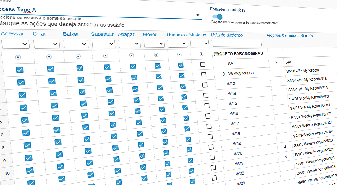 Tela de tipos de acesso do software Autolink